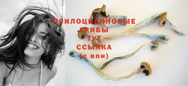 дживик Абинск