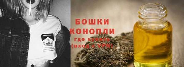 ГАЛЛЮЦИНОГЕННЫЕ ГРИБЫ Абаза