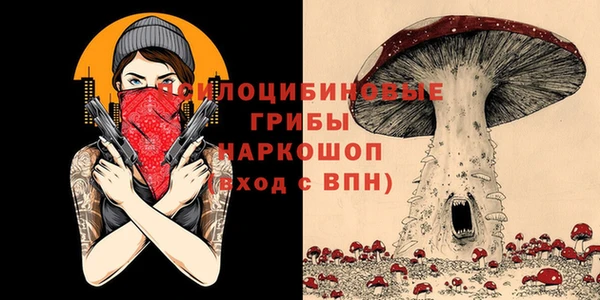 ГАЛЛЮЦИНОГЕННЫЕ ГРИБЫ Абаза